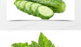 最新黄瓜爆料图片大全,揭秘最新爆料图片大全的时尚风采