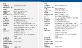 荣耀100最新爆料参数,旗舰性能与时尚设计，引领科技潮流新篇章