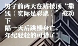 网友爆料坠楼案件最新进展,警方调查深入，疑点逐步揭开