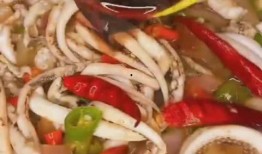 鱿鱼最新爆料视频大全,揭秘幕后真相，精彩瞬间大盘点